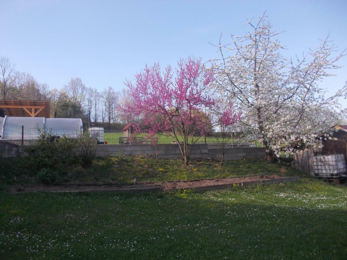 Šumavský domek v Záhoří Bosice Exteriér fotografie